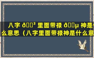 八字 🌳 里面带禄 🌵 神是什么意思（八字里面带禄神是什么意思啊）